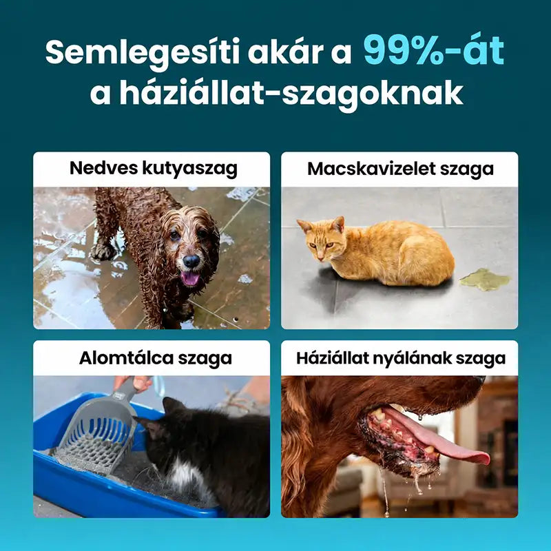 Szüntesse meg a kisállatok okozta szagokat 24 órán belül, és akadályozza meg, hogy visszatérjenek