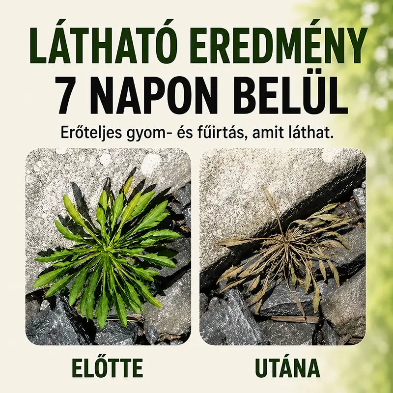 70 % KEDVEZMÉNY🔥 |✨🌿Természetes, gyorsan ható gyom- és fűirtó spray💧